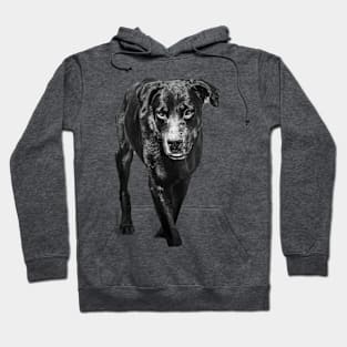 rottweiler Hoodie